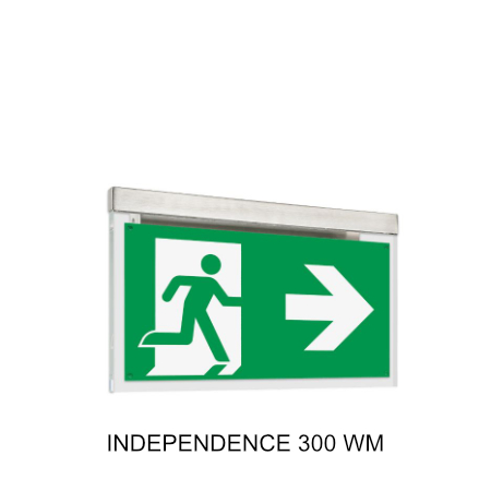 independence 300 wm bearb