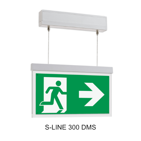 s line 300 dms bearb
