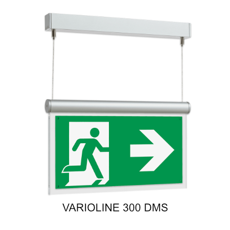 varioline 300 dms bearb