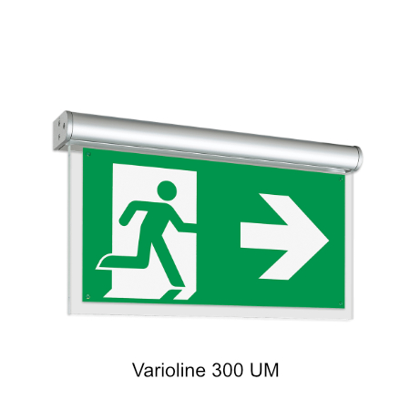 varioline 300 um bearb